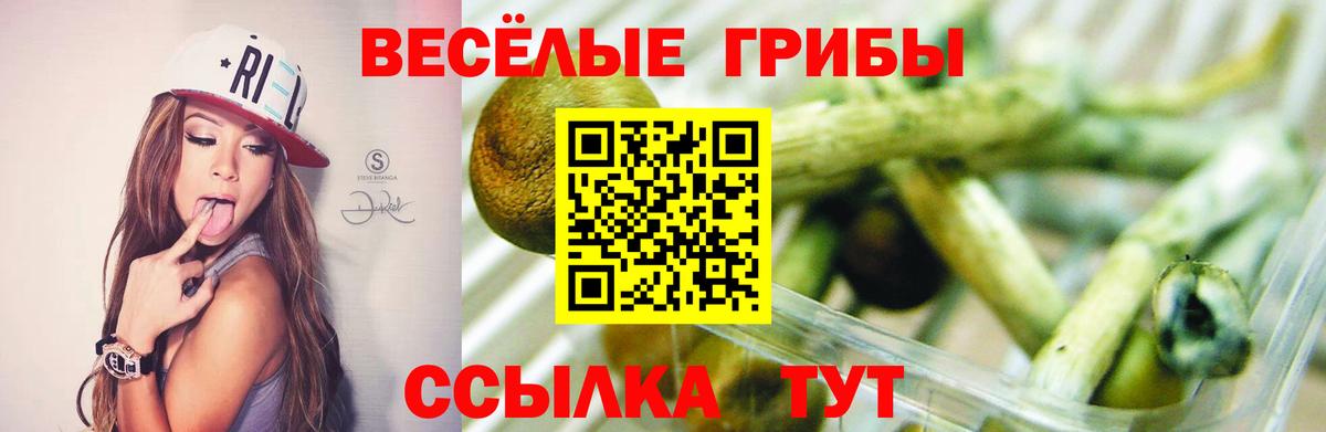 Туймазы  Галлюциногенные грибы мухоморы  Вход с VPN  Галлюциногенные грибы GOLDEN TEACHER 